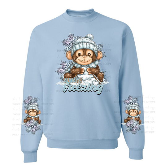 Always freezing sweatshirt