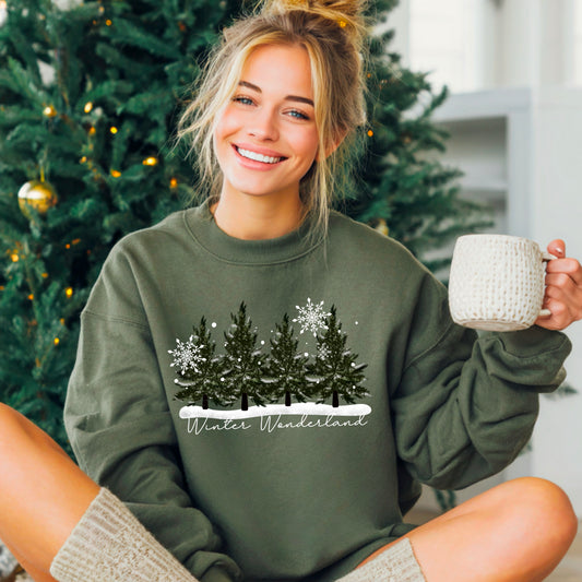 Winter wonderland sweatshirt